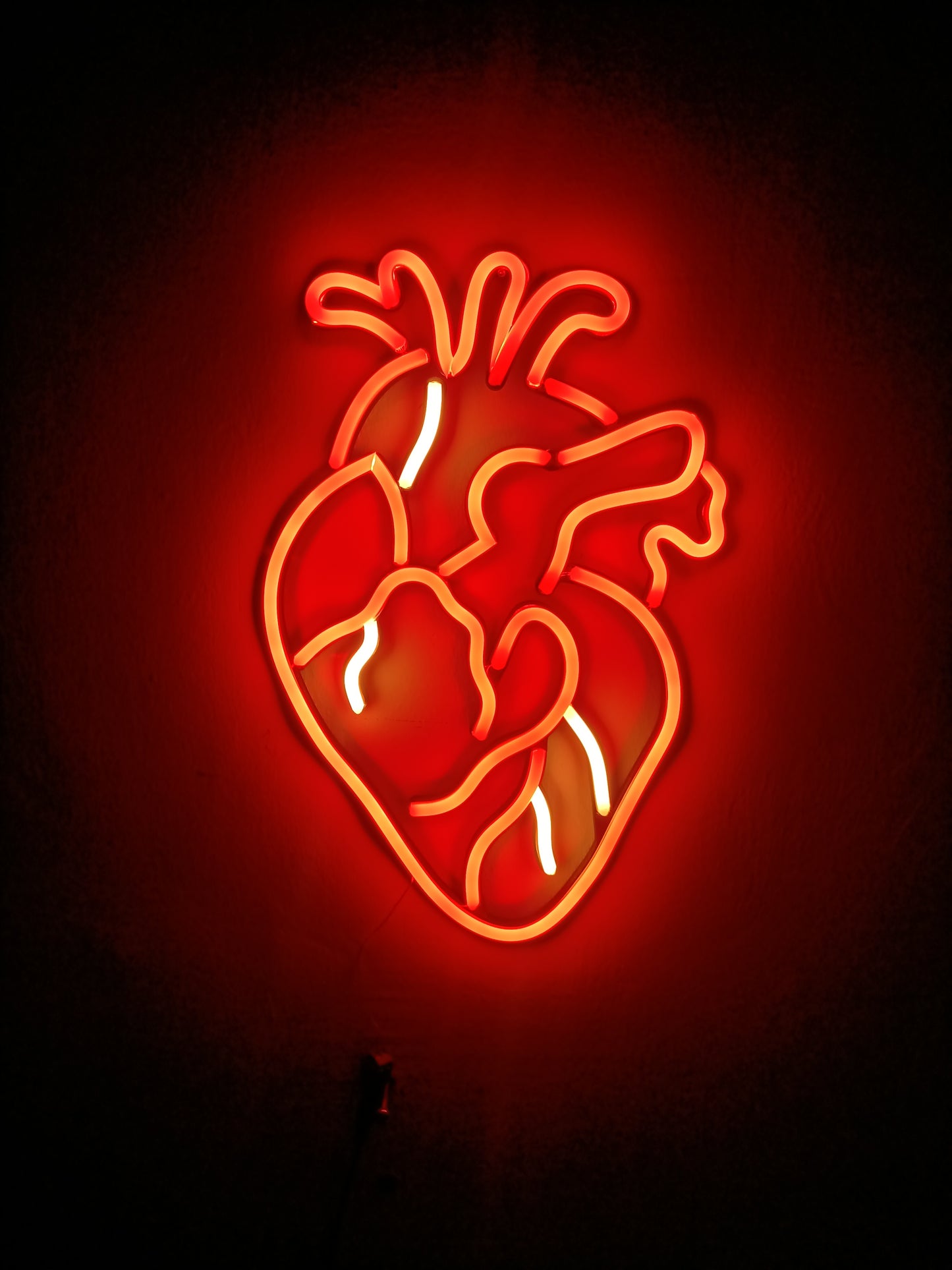 CUORE ANATOMICO